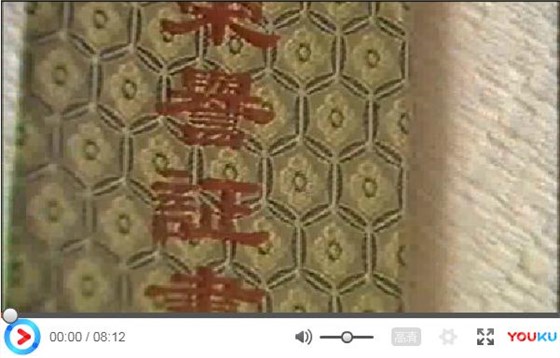 广东电视台专访视频预览图